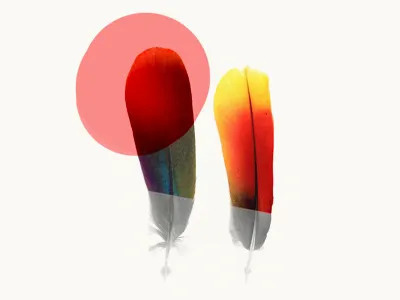 Raised in minimorning October 21 minimorning responsive web design