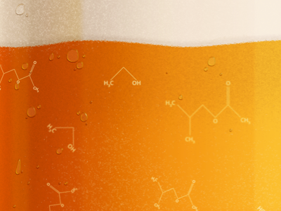 The Chemistry of Beer beer chemistry design illustration