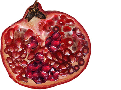 Pomegranate button club fruit pomegranate