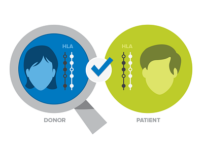 Matching HLA profiles clockwork faces heads hla illustrations infographic infographics people silhouette stick figures