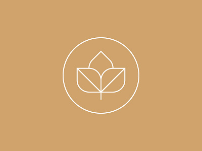 Seed graphic icon line illustration logo thin lines