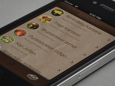 Mushroom app app brown ios leather mushroom ui