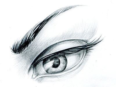 The Eye drawing eye eyebrow hand drawn illustration pencil sketch