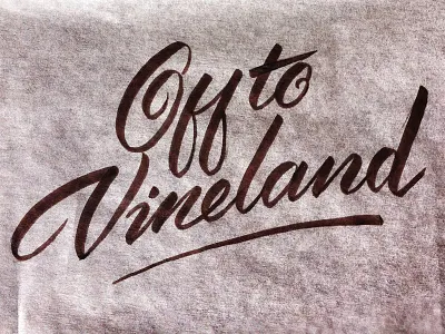 Vineland Lettering brush script calligraphy hand lettering lettering type typography