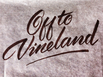 Vineland Lettering brush script calligraphy hand lettering lettering type typography