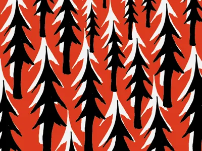 Woooooood christoph zedler illustration kridders nomad skateboard