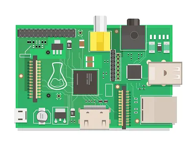 Rasberry Si illustration raspberry pi vector