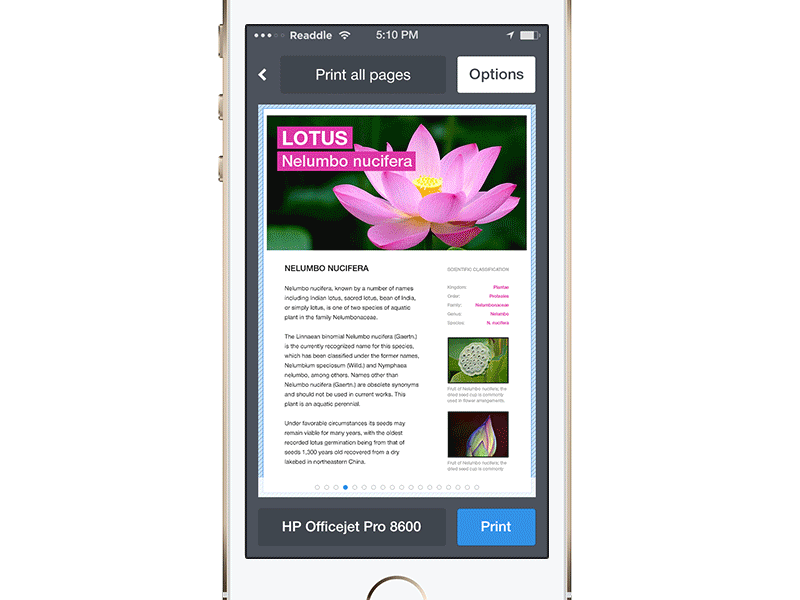 Printer Pro 5 - Print Options (GIF) apple ios ios7 ipad iphone options page printer pro readdle settings size