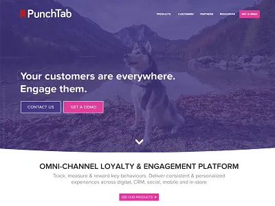 PunchTab V2 - WIP homepage landing page product site
