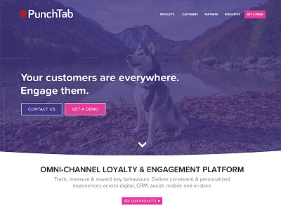 PunchTab V2 - WIP homepage landing page product site