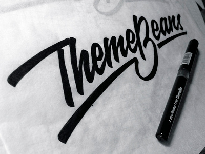 ThemeBeans brand branding brush calligraphy hand writing identity lettering logo logotype pen typography