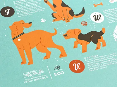 Vizsla alphabet dogs fun facts illustration kids letters limited edition retro sparkly type typography