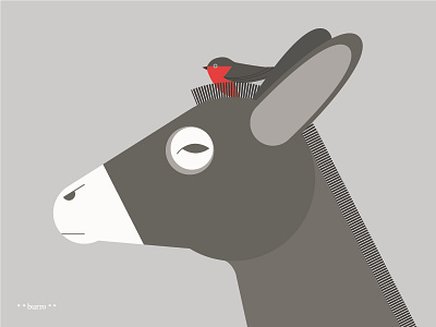 Burro donkey icon illustration robin