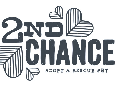 2nd Chance illustration lettering t shirt