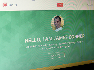 Planus bootstrap flat planus theme