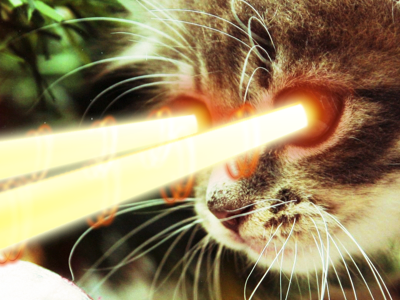 Holiday laser kitty big south distorted kids dksp fun holidays kitty laser malmö sweden