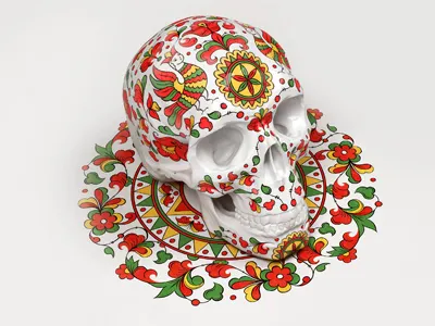 North-Dvina skull north dvina skull white