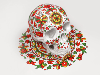 North-Dvina skull north dvina skull white