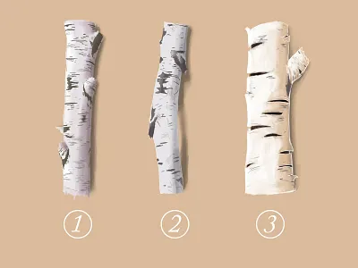 Birch Wood Logs adobe caslon pro birch log logs sketches wood