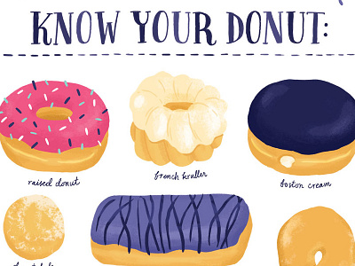 Donut Identification chart donut graphic illustration sprinkles