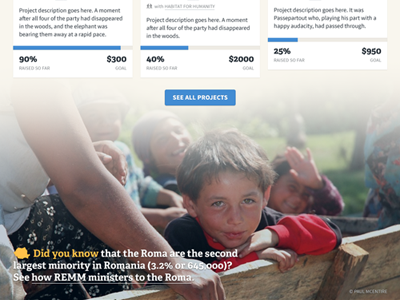 Did you know? adelle fundraising nonprofit roma romania source sans