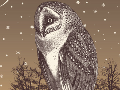 Carolina Chocolate Drops Winter 2013 gigposter music owl south tour