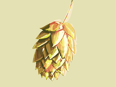 Hops hops illustration