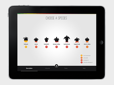Sea Turtles Need Your Help - WWF app concept design flat graphics information interaction interface ipad minimalist ui wwf