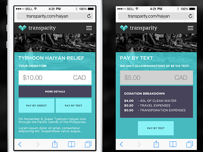 Transparity Donation Page donate donation iphone mobile page pay ui ux