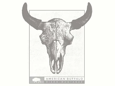 American Buffalo Print bison buffalo hand drawn illustration inking pen and ink poster screen print stippling