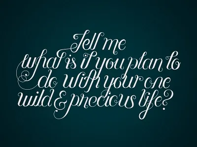 Tell me...vectorizing filigree flourish hand drawn hand lettering lettering script typography vector