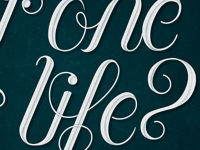 Details details... details filigree flourish hand drawn hand lettering lettering script typography vector