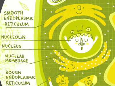 Plant Cell Anatomy