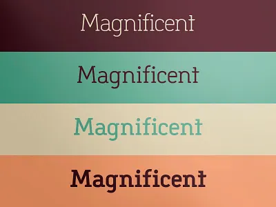 New FONT w.i.p custom type font museology process s typeface vectors