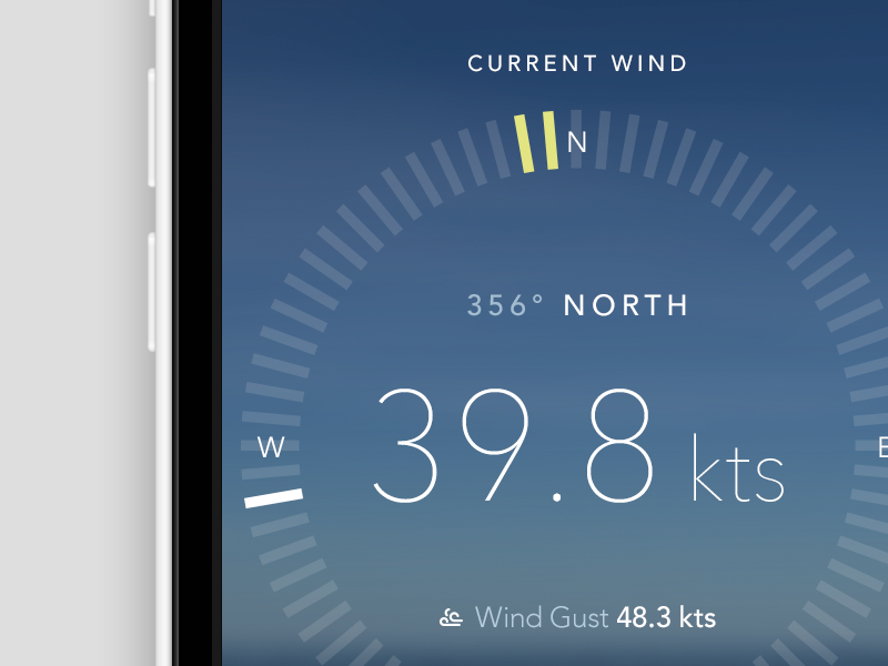 Anemometer screen