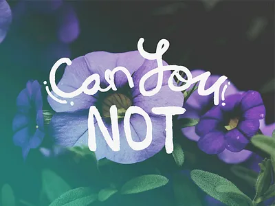 Can You Not free download hand lettering sassy unsplash wallpaper