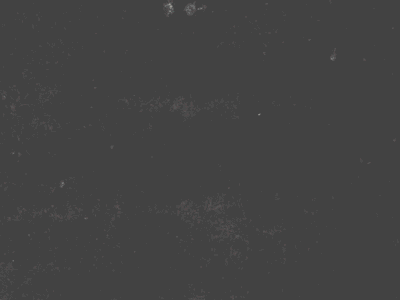 Animation Test Rebound 2d after effects animation gif test