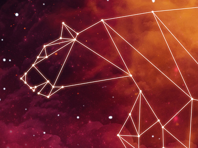 Bear bear constellation galaxy nebula sky stars ursa