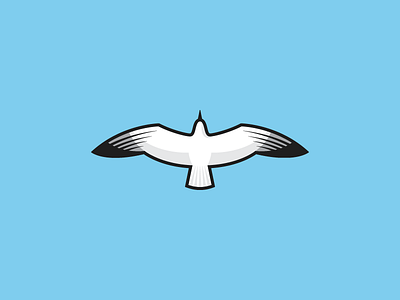 Seagull bird demastrie feather fly sam seagull wings