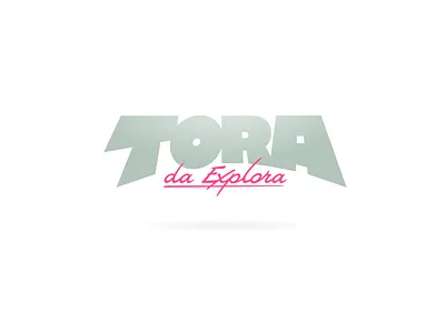 Tora da Explora dog font lettering letters logo tora type typeface typography