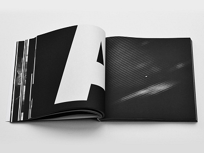 Doberman Variations Book doberman variations spread