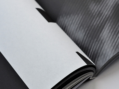Doberman Variations book closeup
