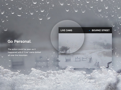 Live Cam bubbles case study cctv design frost live cam module snow