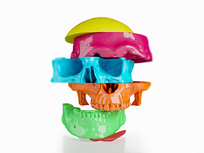 Colorful Human Skull c4d color skull vray