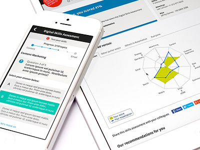 Digital Skills Web App assessment flat ipad iphone mobile progress responsive results statistics survey twitter bootstrap ui