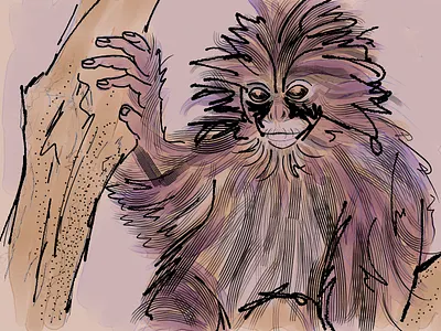 Leaf Monkey illustration leaf monkey wild style
