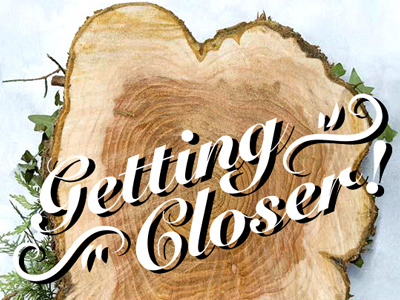 Getting Closer christmas holidays script snow stump tree winter