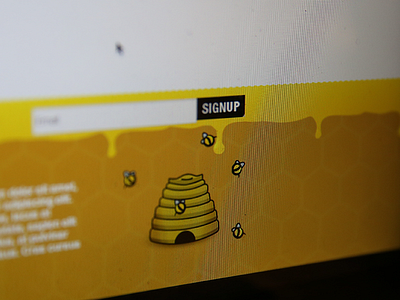 Lifebee Footer bee capture footer honeycomb newsletter