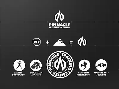 PTC Brand logo mark mma octagon pinnacle training
