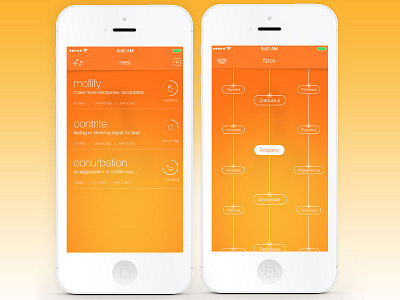 Wadl'n Baby design ios ios7 mobile ui ux vocabulary